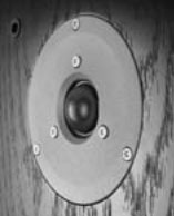 Dynaudio_Focus_380