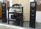 Акустические системы Piega Coax 90.2