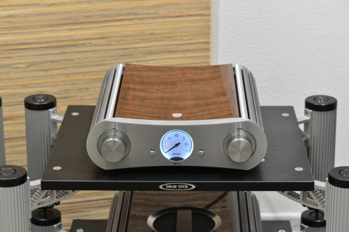 Gato-AMP-150-2.JPG