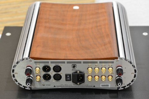 Gato-AMP-150-7.JPG