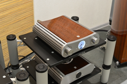 Gato-AMP-150-1.JPG