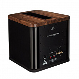 MARTIN LOGAN BALANCEDFORCE 210 NATURAL CHERRY в салоне HiFi Audio в СПб