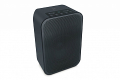 BLUESOUND PULSE FLEX 2i BLACK в салоне HiFi Audio в СПб BLUESOUND PULSE FLEX 2i BLACK в салоне HiFi Audio в СПб