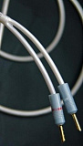 ATLAS EQUATOR 2 в салоне HiFi Audio в СПб ATLAS EQUATOR 2 в салоне HiFi Audio в СПб