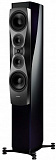 DYNAUDIO CONFIDENCE 60 MIDNIGHT HIGH GLOSS в салоне HiFi Audio в СПб DYNAUDIO CONFIDENCE 60 MIDNIGHT HIGH GLOSS в салоне HiFi Audio в СПб