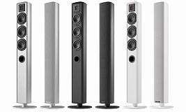 PIEGA ACE 50 W в салоне HiFi Audio в СПб
