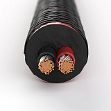 DALI SC RM230ST в салоне HiFi Audio в СПб DALI SC RM230ST в салоне HiFi Audio в СПб
