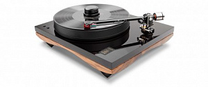 GOLD NOTE GIGLIO WALNUT в салоне HiFi Audio в СПб GOLD NOTE GIGLIO WALNUT в салоне HiFi Audio в СПб